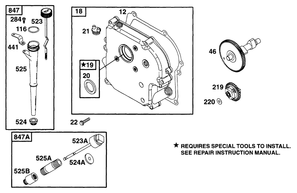 Crankcase Cover Cam, Oil Fill Diagram and Parts List for 171432-0301-XX  Briggs and Stratton Engine